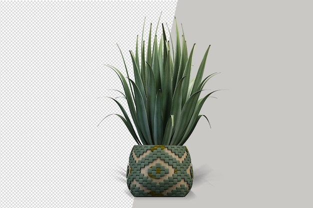 Front view of plant in pot in 3d rendering