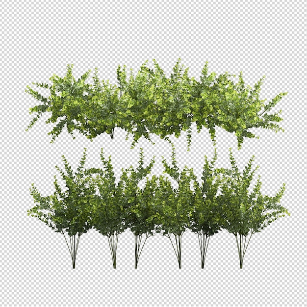 Front view of plant in pot in 3d rendering