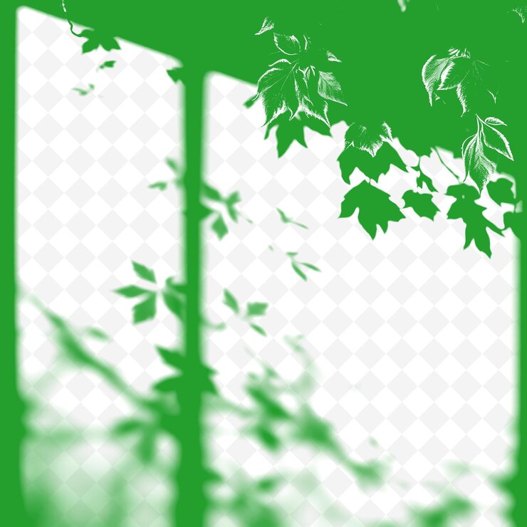 PSD frosted leaf shadows crisp detailed shadows cast by frosted leaves high contrast with a s
