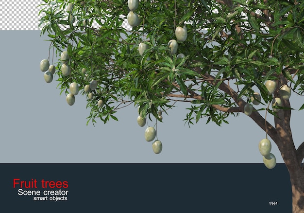 fruit trees of various types and colors