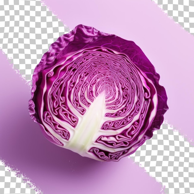 PSD full depth of field used to photograph a red cabbage slice on a transparent background