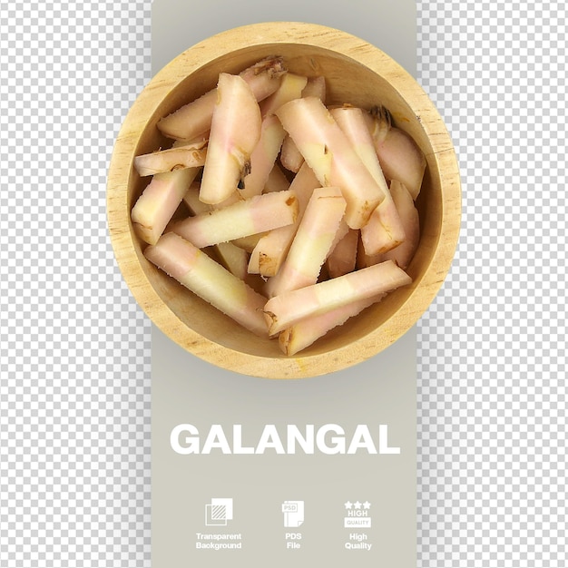 PSD galangal alpinia galanga