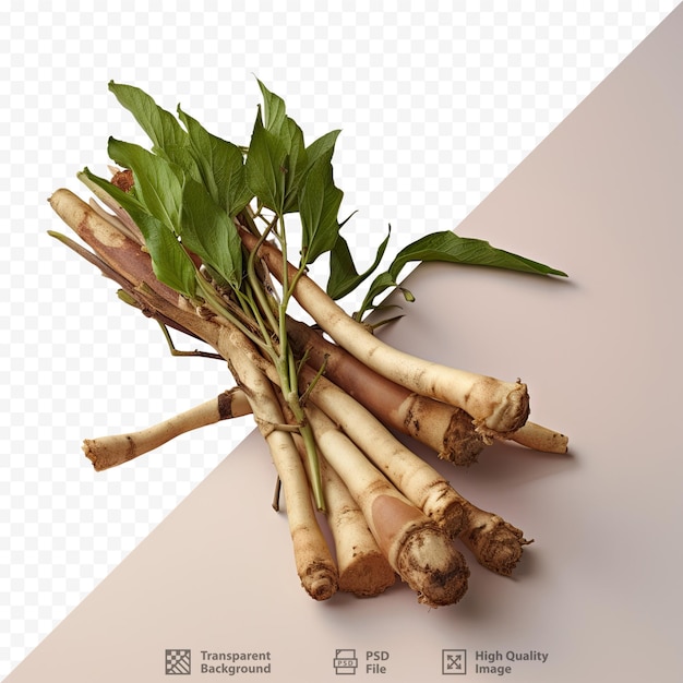 PSD galangal photo perfect for cooking spices seasoning or herbal medicine