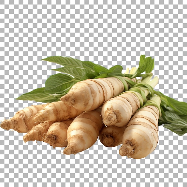 PSD galangal on transparent background