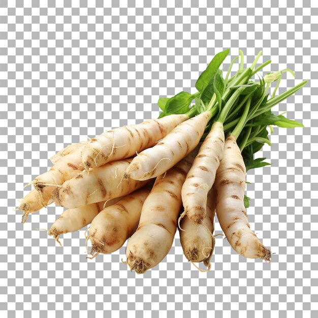 PSD galangal on transparent background