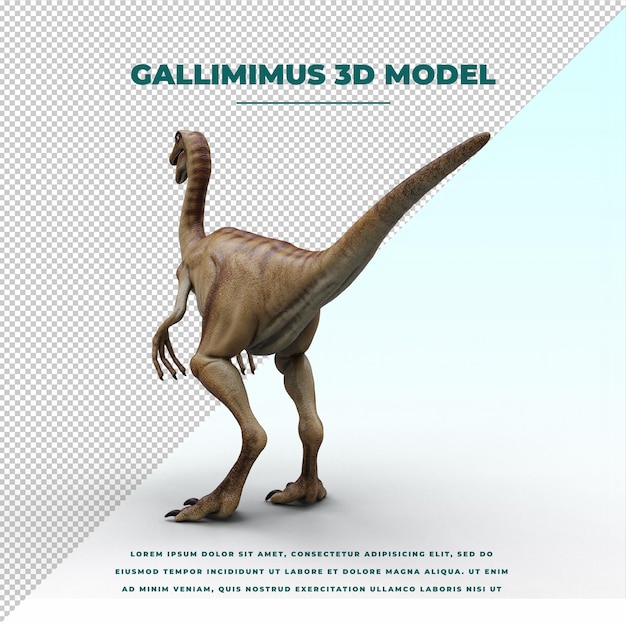 Gallimimus