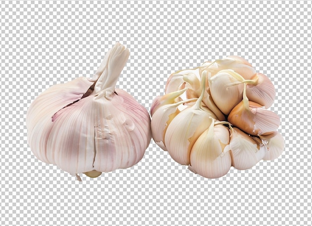 PSD garlic on alpha layer