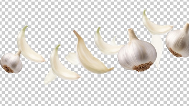 PSD garlic on alpha layer