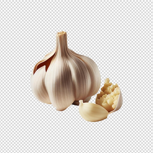 A garlic and a clove of garlic with a white bulb.