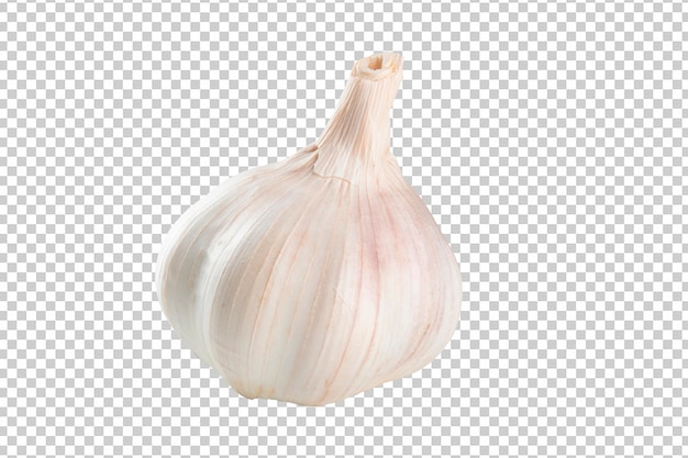 PSD garlic head isolated png transparent background