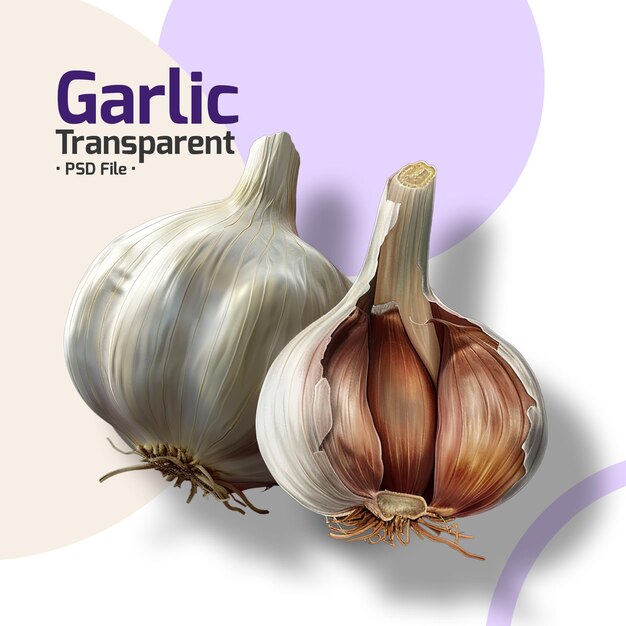 PSD garlic transparent png