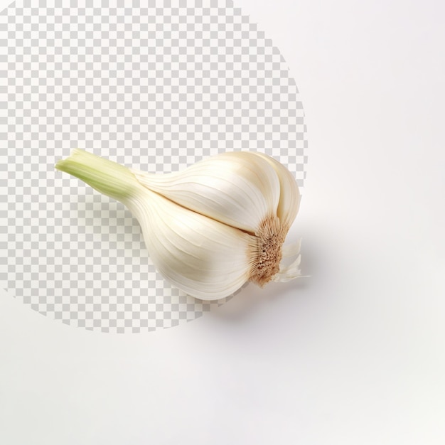 PSD garlic on white background