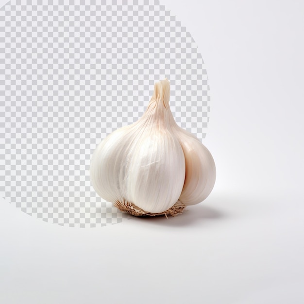 Garlic on white background