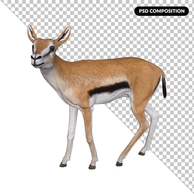 Gazelle animal isolated 3d