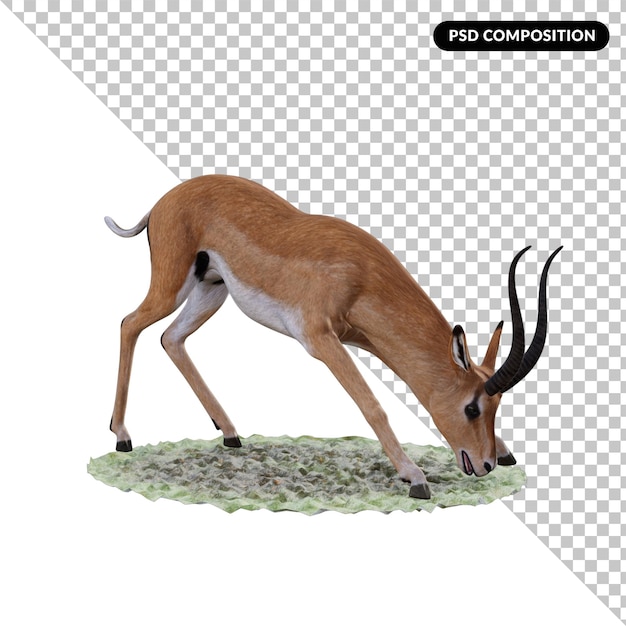 PSD animale gazzella isolato 3d