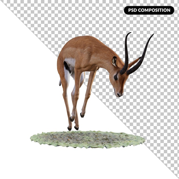 PSD animale gazzella isolato 3d