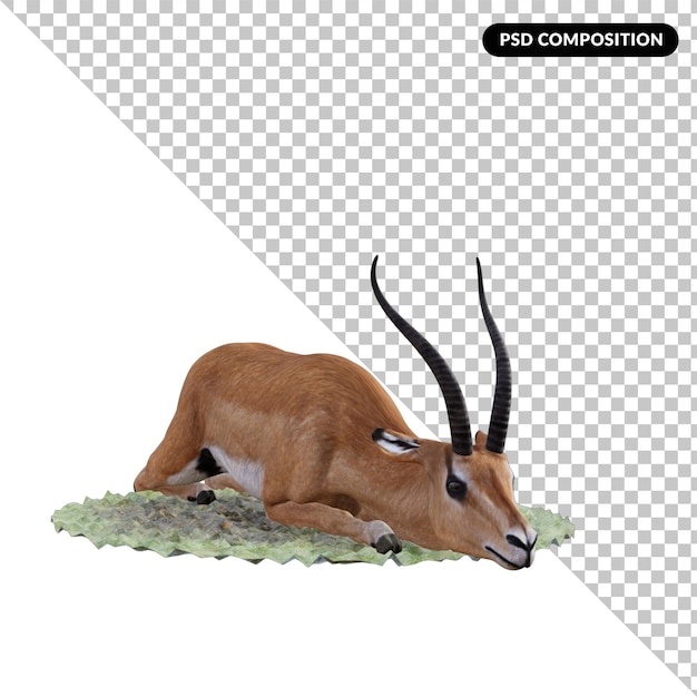 PSD gazelle animal isolated 3d