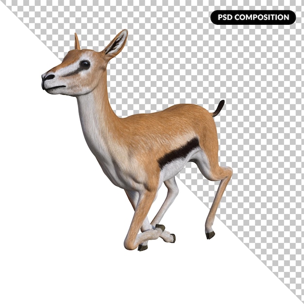 PSD gazelle dier geïsoleerd 3d