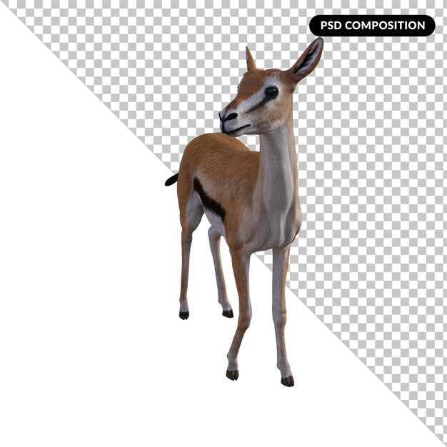 PSD gazelle dier geïsoleerd 3d