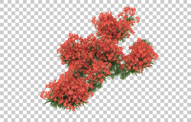 Gebied van bloemen op transparante achtergrond. 3d-rendering - illustratie