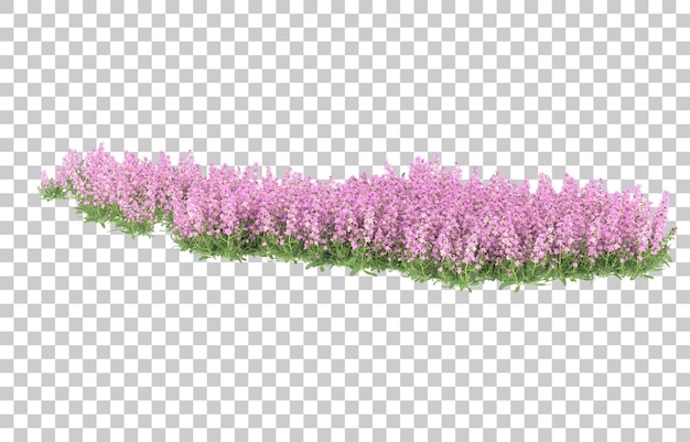 Gebied van bloemen op transparante achtergrond. 3d-rendering - illustratie