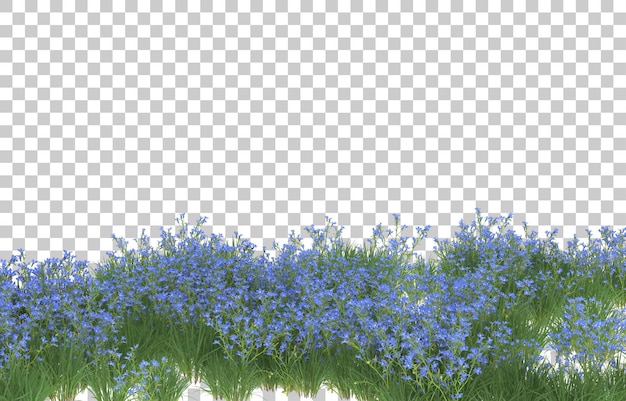 Gebied van bloemen op transparante achtergrond. 3D-rendering - illustratie