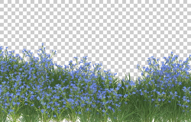 Gebied van bloemen op transparante achtergrond. 3D-rendering - illustratie