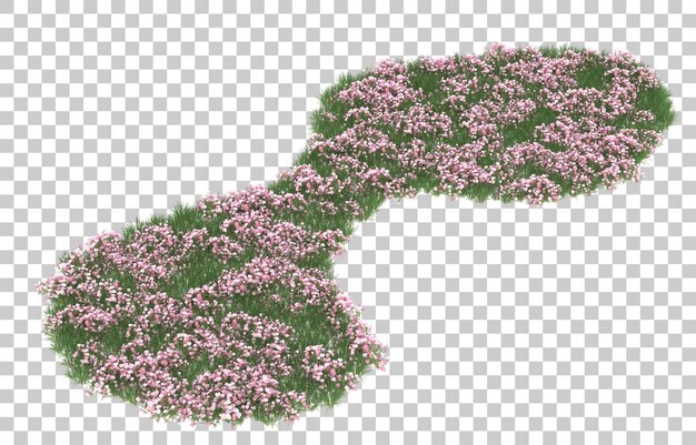 Gebied van bloemen op transparante achtergrond. 3d-rendering - illustratie