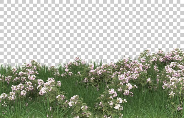 Gebied van bloemen op transparante achtergrond. 3d-rendering - illustratie