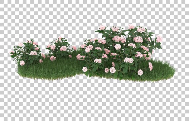 Gebied van bloemen op transparante achtergrond. 3d-rendering - illustratie