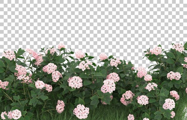 Gebied van bloemen op transparante achtergrond. 3d-rendering - illustratie