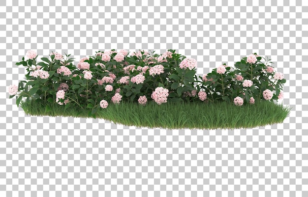 Gebied van bloemen op transparante achtergrond. 3d-rendering - illustratie