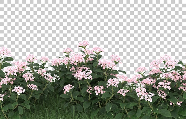 Gebied van bloemen op transparante achtergrond. 3d-rendering - illustratie