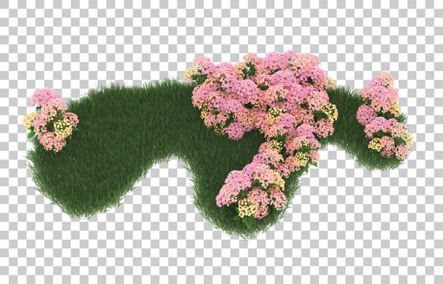 Gebied van bloemen op transparante achtergrond. 3d-rendering - illustratie