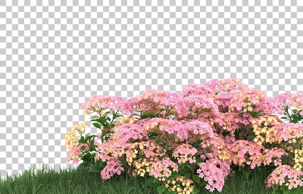 Gebied van bloemen op transparante achtergrond. 3d-rendering - illustratie