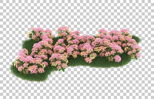 Gebied van bloemen op transparante achtergrond. 3d-rendering - illustratie