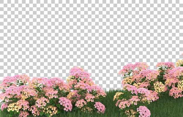 Gebied van bloemen op transparante achtergrond. 3d-rendering - illustratie