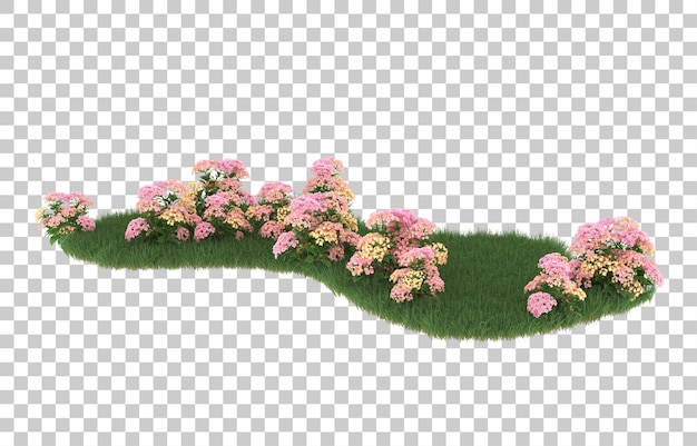 Gebied van bloemen op transparante achtergrond. 3d-rendering - illustratie