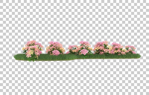 Gebied van bloemen op transparante achtergrond. 3d-rendering - illustratie