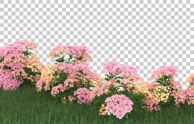 Gebied van bloemen op transparante achtergrond. 3d-rendering - illustratie