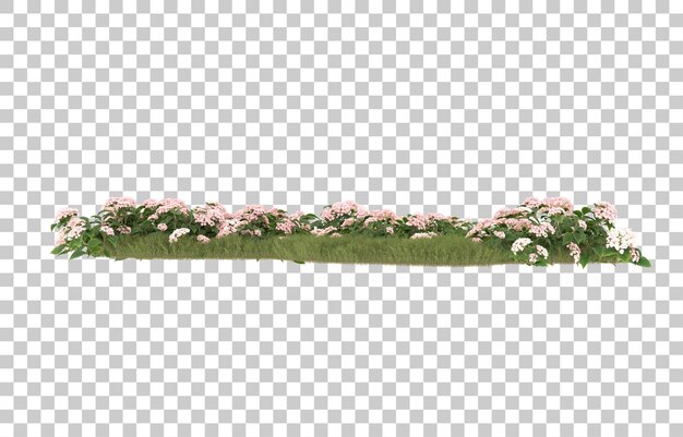 PSD gebied van gras met bloemen op transparante achtergrond. 3d-rendering - illustratie