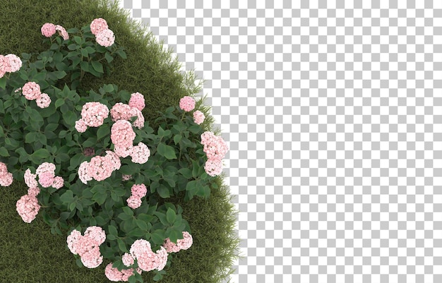 Gebied van gras met bloemen op transparante achtergrond. 3d-rendering - illustratie