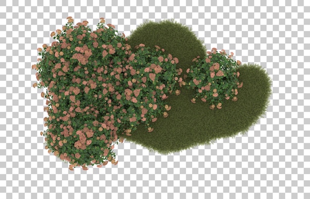 Gebied van gras met bloemen op transparante achtergrond. 3d-rendering - illustratie