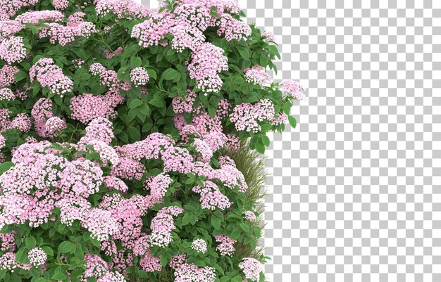 PSD gebied van gras met bloemen op transparante achtergrond. 3d-rendering - illustratie