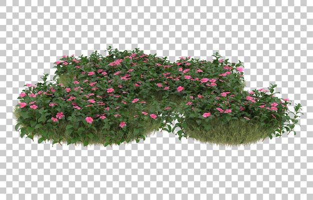 Gebied van gras met bloemen op transparante achtergrond. 3d-rendering - illustratie