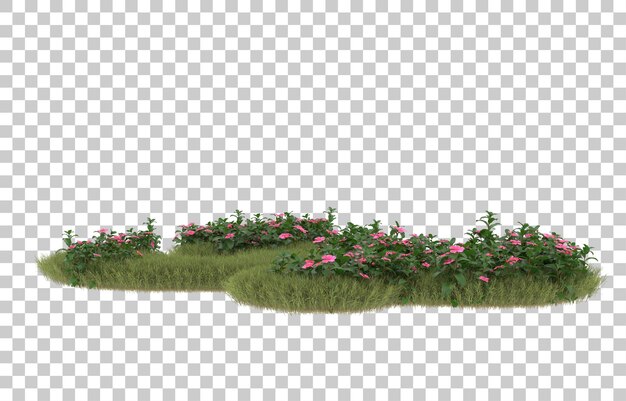 Gebied van gras met bloemen op transparante achtergrond. 3d-rendering - illustratie