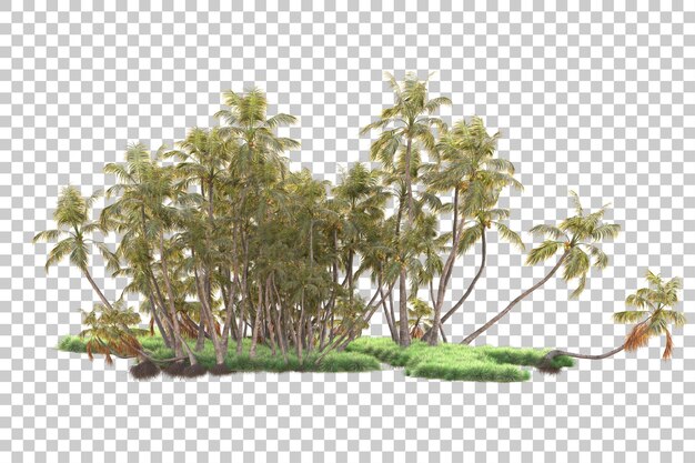 Gebladerte eiland geïsoleerd op transparante achtergrond 3d rendering illustratie