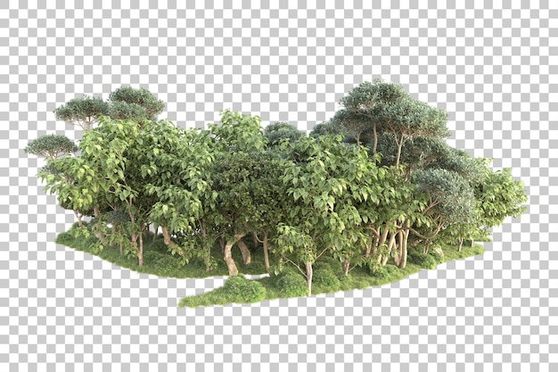 Gebladerte eiland geïsoleerd op transparante achtergrond 3d rendering illustratie