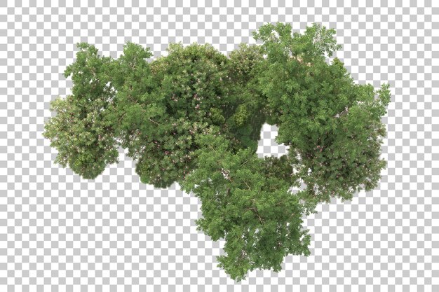 Gebladerte eiland geïsoleerd op transparante achtergrond 3d rendering illustratie