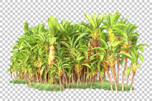 Gebladerte eiland geïsoleerd op transparante achtergrond 3d rendering illustratie